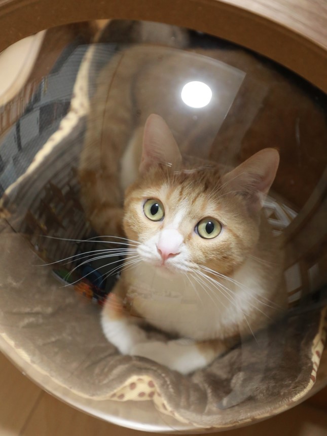 ¤Á¤ç¤Ã¤È¼Ú¤ê¤Á¤ã¤Ã¤¿¢ö ¤Á¤ç¤Ã¤È¼Ú¤ê¤Á¤ã¤Ã¤¿¢ö