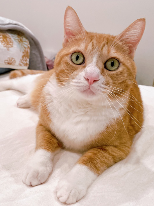 ¤¤é¡Á¤ó¡ù ¤¤é¡Á¤ó¡ù