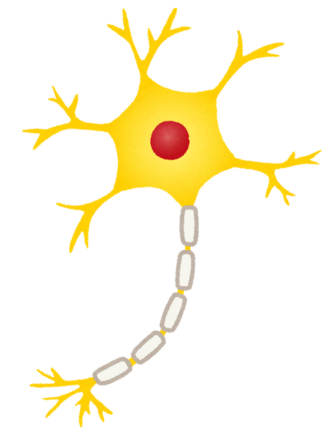 body_cell_shinkei
