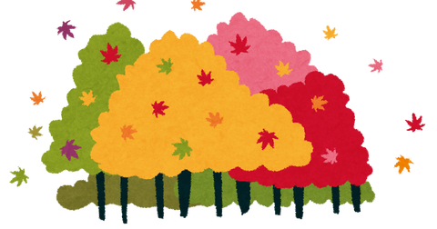 kouyou_tree