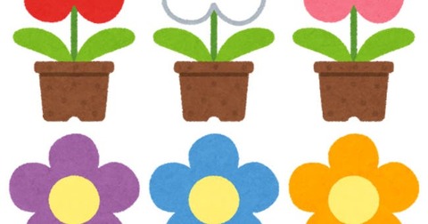thumbnail_flower_hachiue