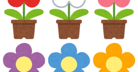 thumbnail_flower_hachiue