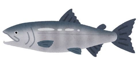 fish_sakana_sake