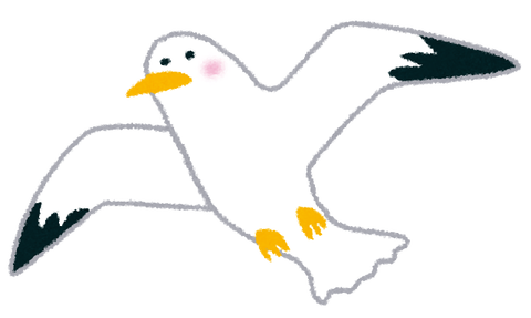 bird_kamome