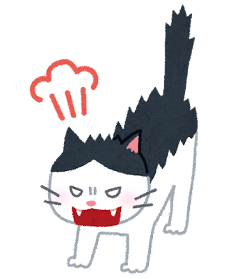 cat_angry