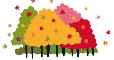 kouyou_tree