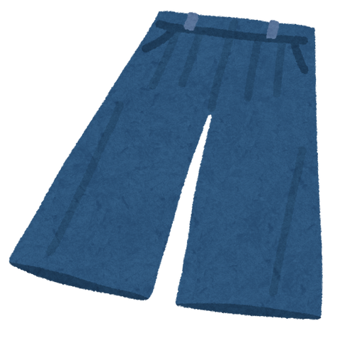 fashion_gaucho pants
