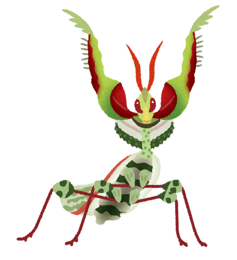 bug_nisehanamaou_kamakiri