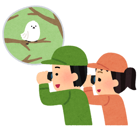 bird_watching