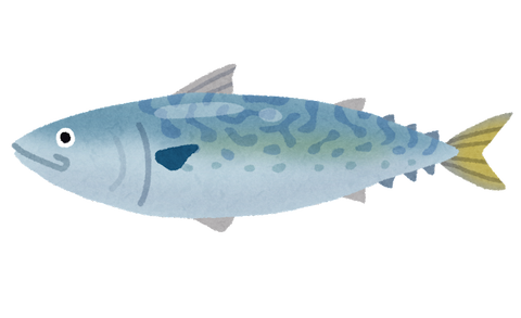 fish_saba2