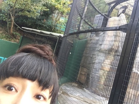 http://n.mynv.jp/news/2017/11/11/052/images/002l.jpg