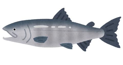 fish_sakana_sake