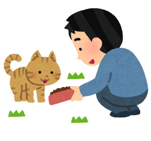 cat_eduke_noraneko