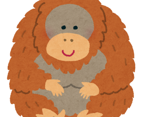 animal_Orangutan