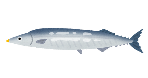 fish_sakana_sanma
