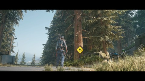 DAYS GONE_20190428015232