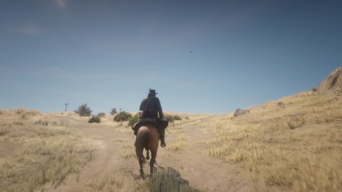 Red Dead Redemption 2_20181229055441