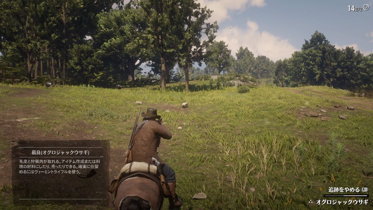 レッドデッドリデンプション２ 11 馬確保とビーバー狩り モーメント １
