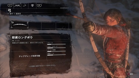 Rise of the Tomb Raider_290