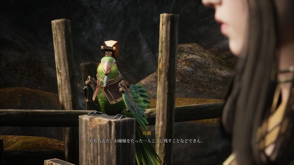 軒轅剣 閻黒の業火_20210126033659