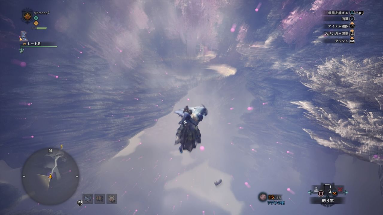 モンハンワールド テトルー見つけ隊 ３ 陸珊瑚の台地