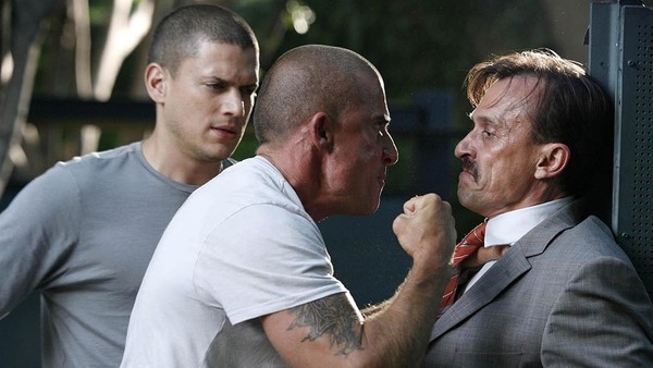 463aec83159._SX1080_FMjpg_