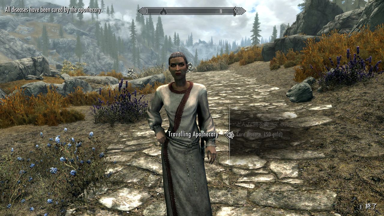 スカイリムse ただのプレイ日記 Skyrim 脳筋墓場 スカイリムse ただのプレイ日記 Skyrim 脳筋墓場