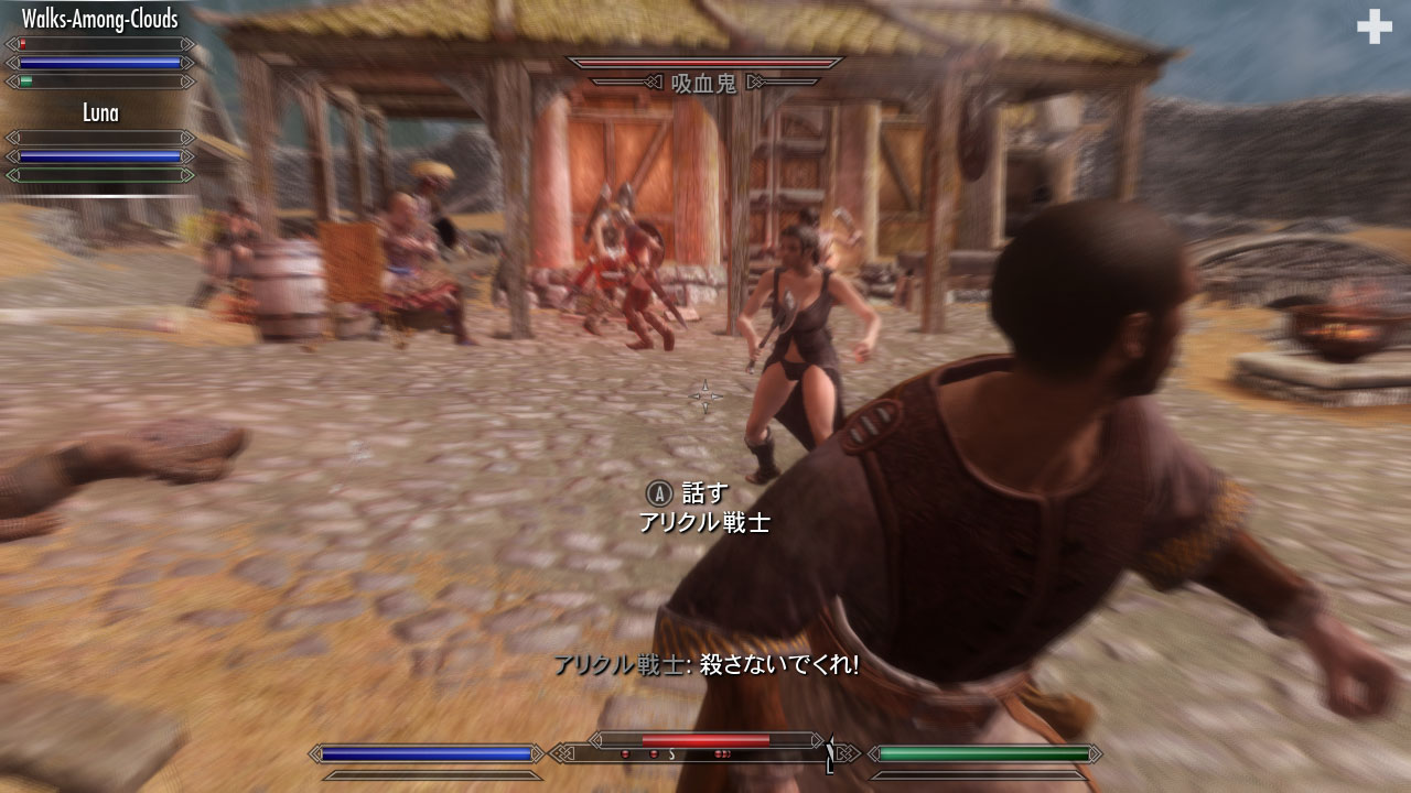 Ckで吸血鬼の襲撃に備えてみた Skyrim 脳筋墓場 Ckで吸血鬼の襲撃に備えてみた Skyrim 脳筋墓場