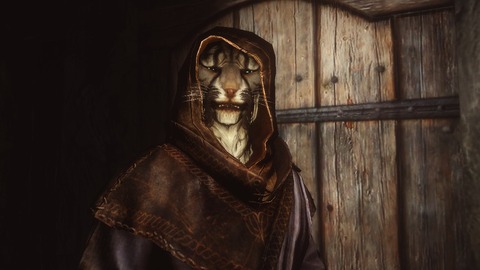 ジェイ ザルゴの追試 １ Skyrim 脳筋墓場