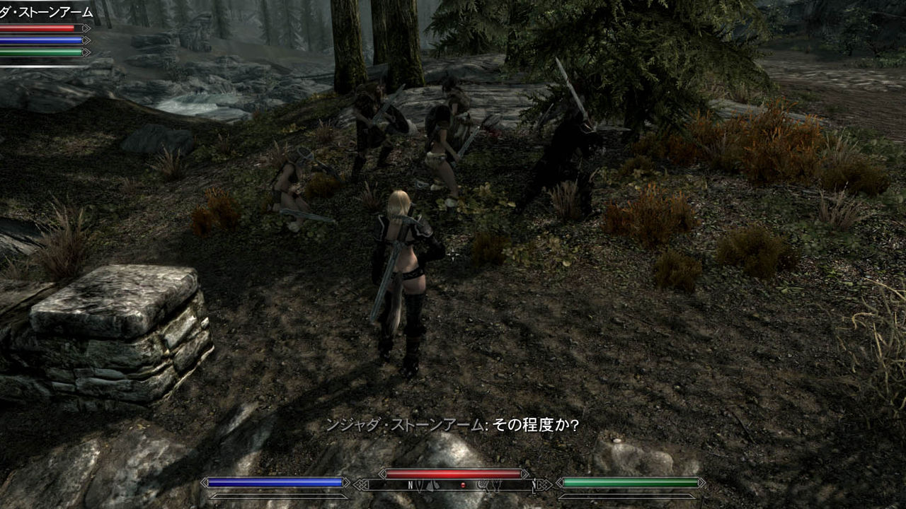 同胞団メンバー紹介その2 Skyrim 脳筋墓場 同胞団メンバー紹介その2 Skyrim 脳筋墓場