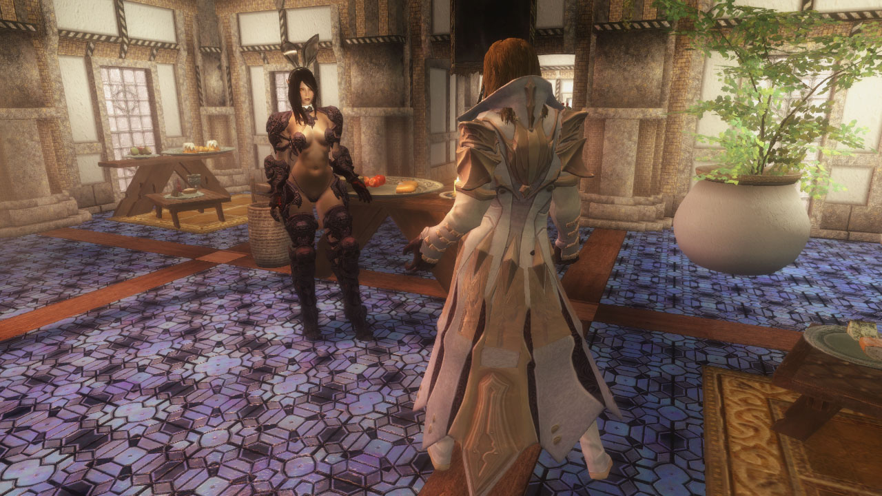 アルドメリ従姉弟 ６ 最後のエセリウム Skyrim 脳筋墓場