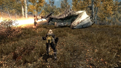 ウェアウルフ関連 Skyrim 脳筋墓場