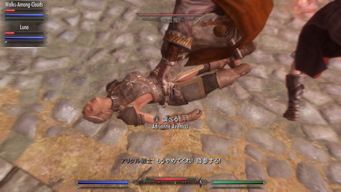 クリエーションキット Skyrim 脳筋墓場 クリエーションキット Skyrim 脳筋墓場