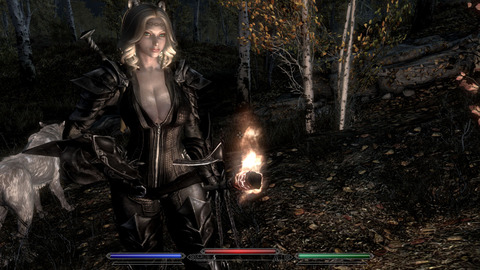 ウェアウルフ関連 Skyrim 脳筋墓場