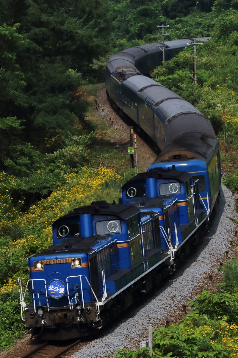 宇宙軒カーブ で北斗星 下北のうさぎ