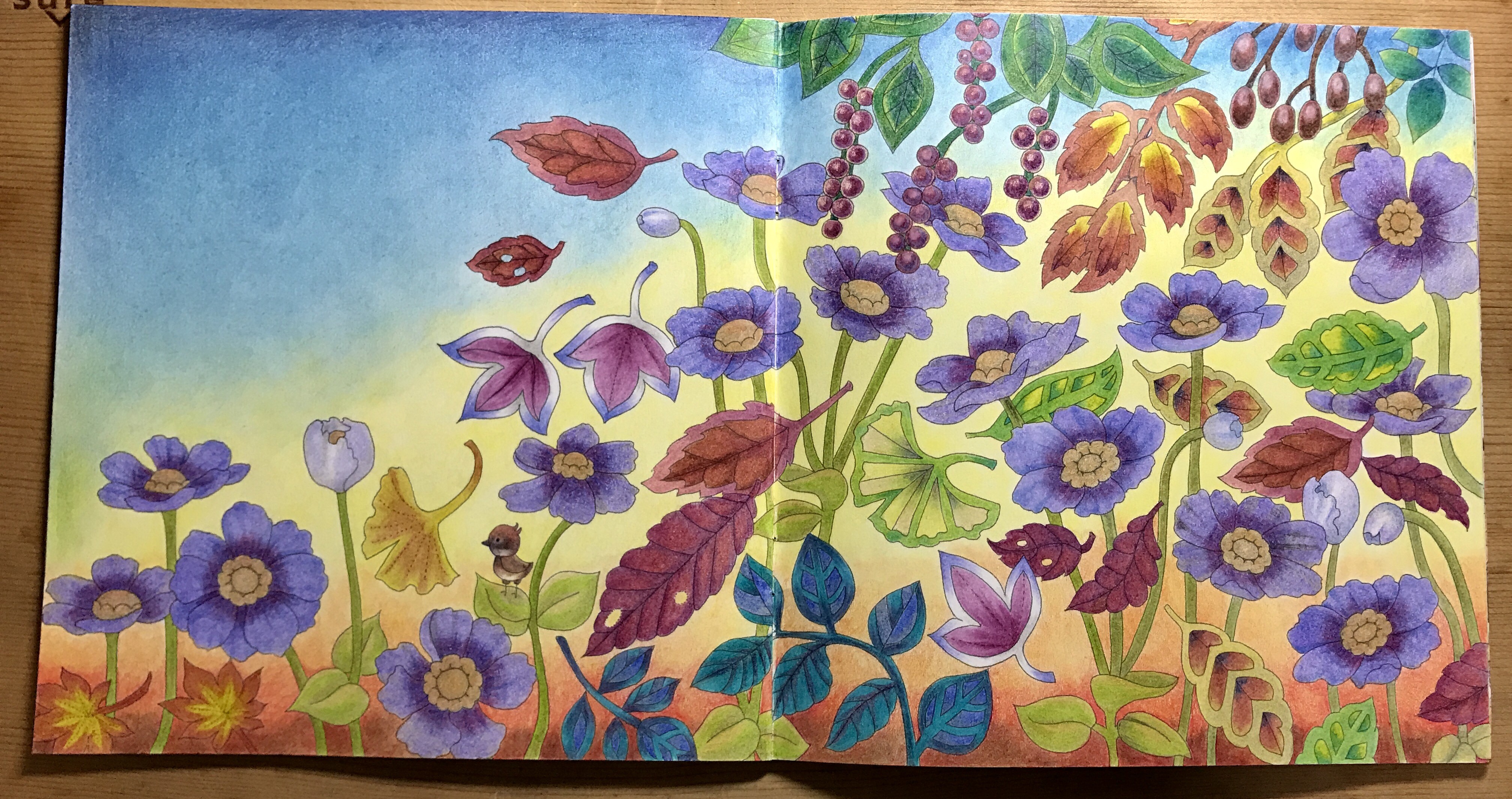 ダイソー癒しの塗り絵 花の国より 夕方の秋 : 休日は色鉛筆