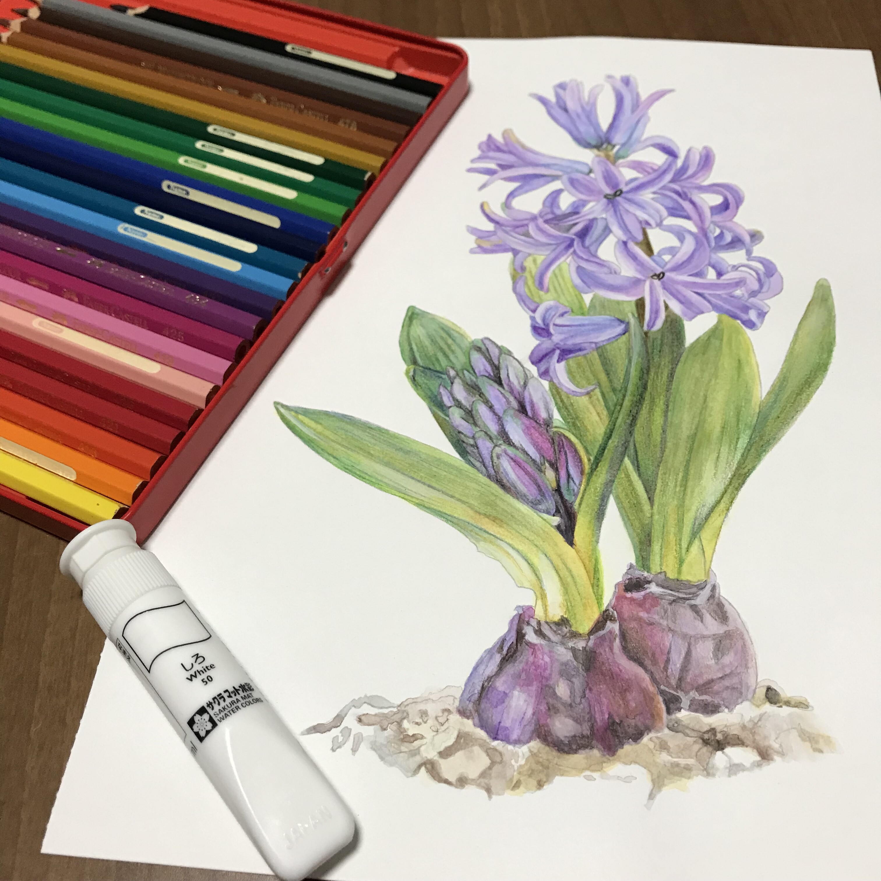 やさしい大人の塗り絵 庭に咲く花編より ヒヤシンス 完成 休日は色鉛筆