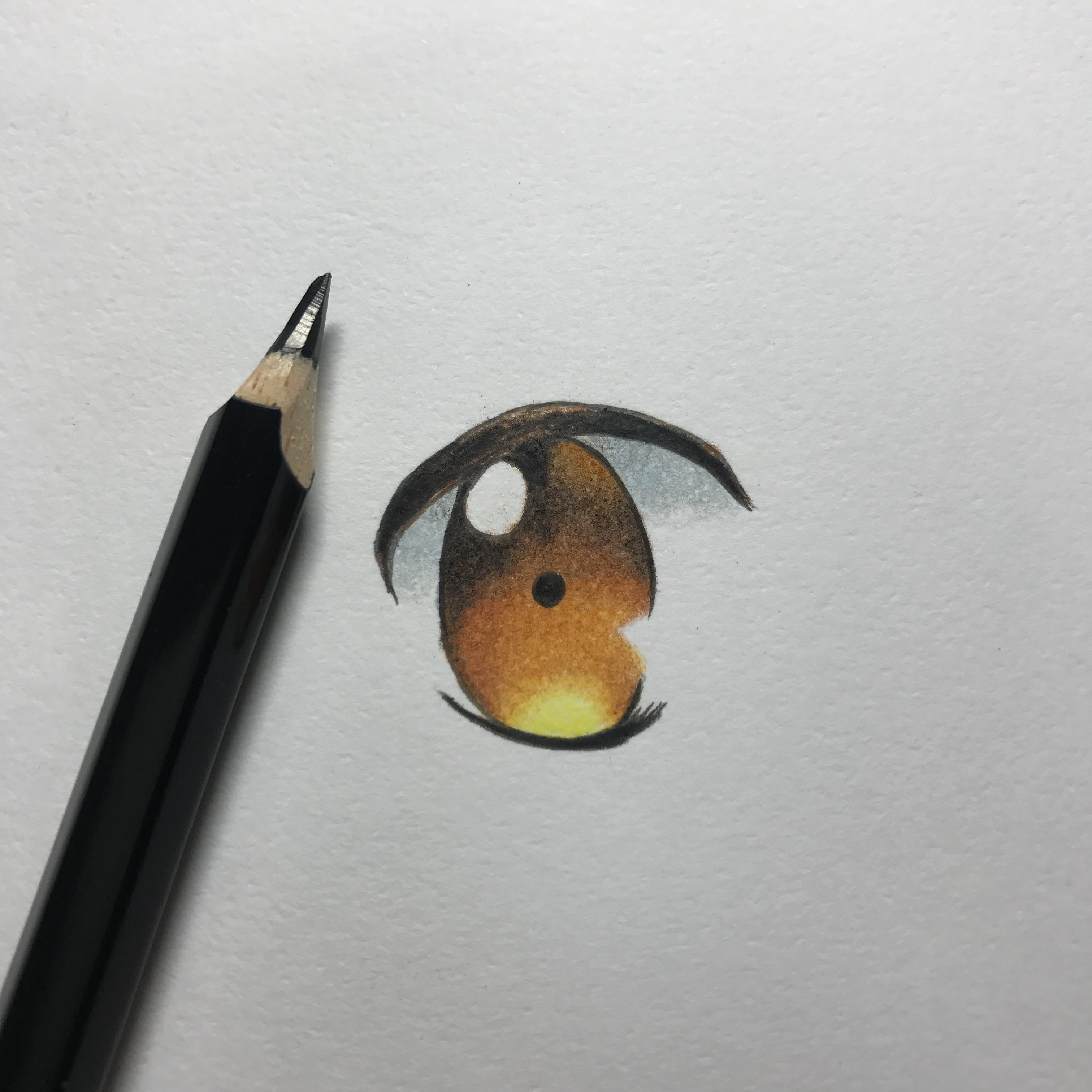 メイキング 色鉛筆で目 茶色 を塗るの巻 休日は色鉛筆