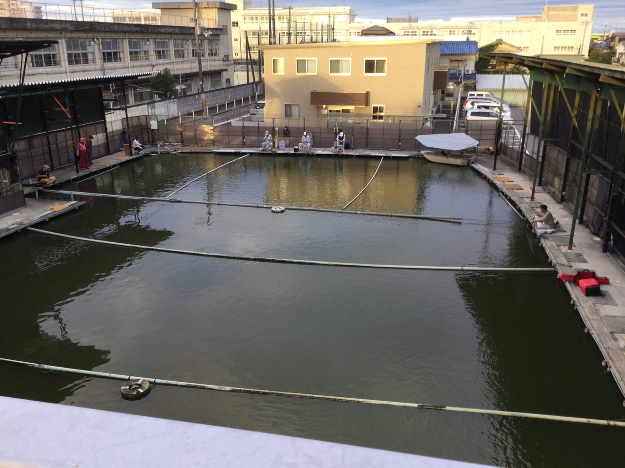 西池釣行 箱池は気軽に行ける釣り場です Migiwaのパースぺクティブ