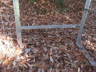 RIMG0262 (2)