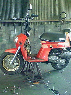 Ƭ���ˤ��ʤäƤ����