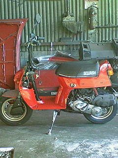 �̎��������ʎގ������塪