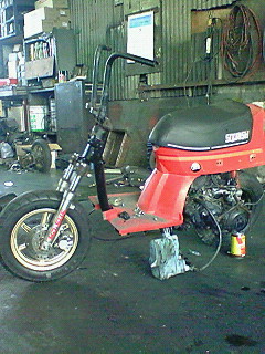 HD������ZX�ΎΎ�������