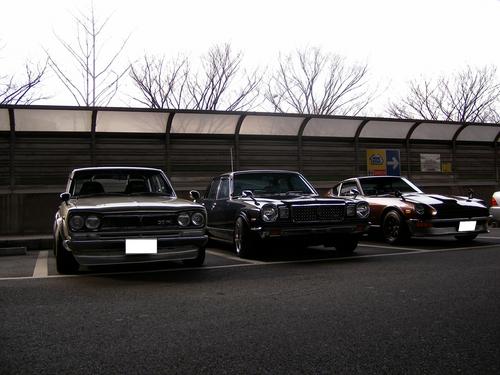 ハコ、ブタ目、Z