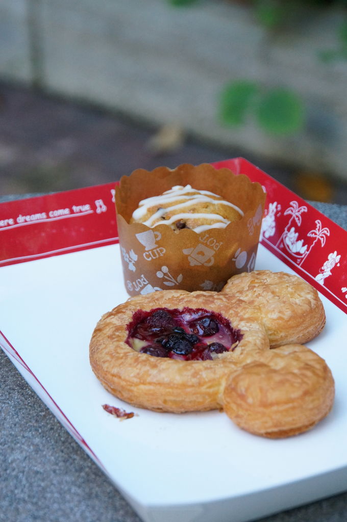 ディズニーシーのコスモス スカイままの曇りのち晴れ時々disney Walking ディズニーシーのコスモス スカイままの曇りのち晴れ時々disney Walking