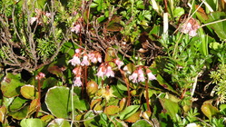 DSCN0035