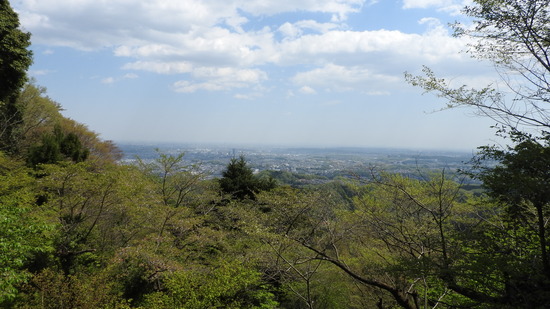 DSCN2361
