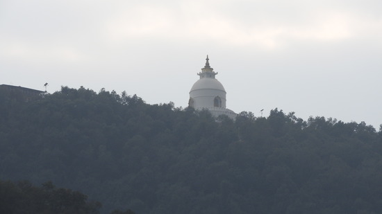 DSCN4917