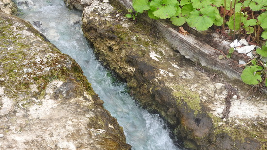 DSCN1690