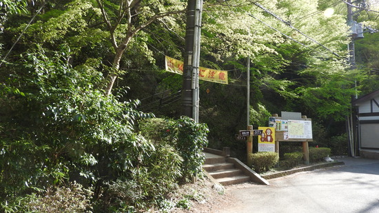 DSCN2775